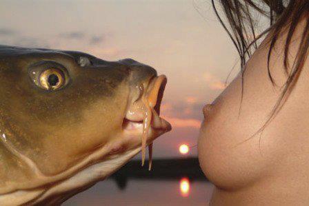 ce e mai bun decat un boiles ? - zz.jpg